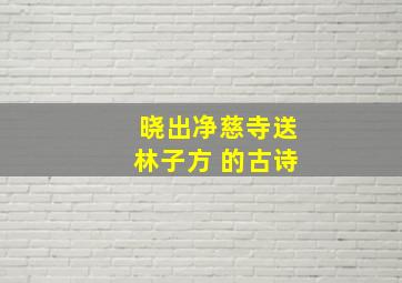 晓出净慈寺送林子方 的古诗